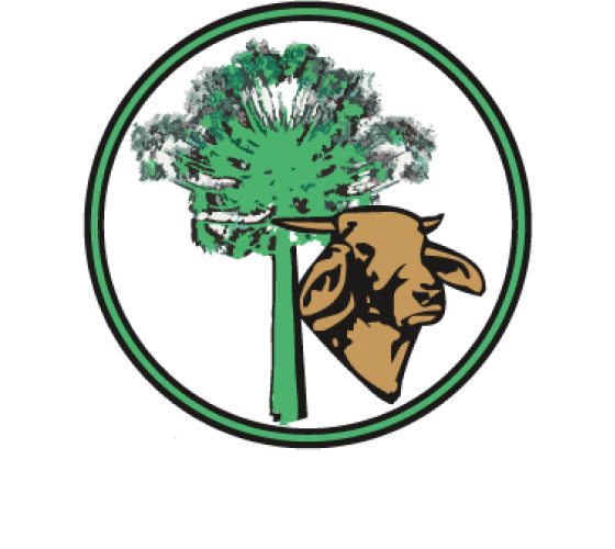 Logo do Matadouro da Serra